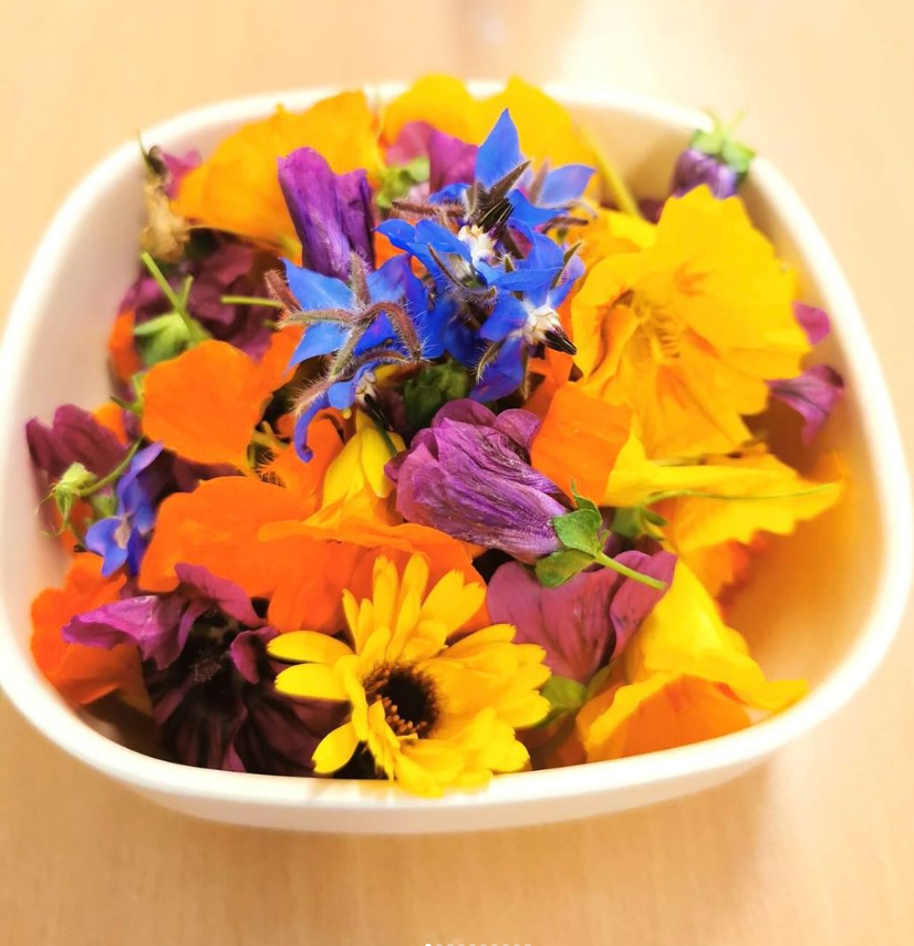 screenshot 2023 10 12 125739